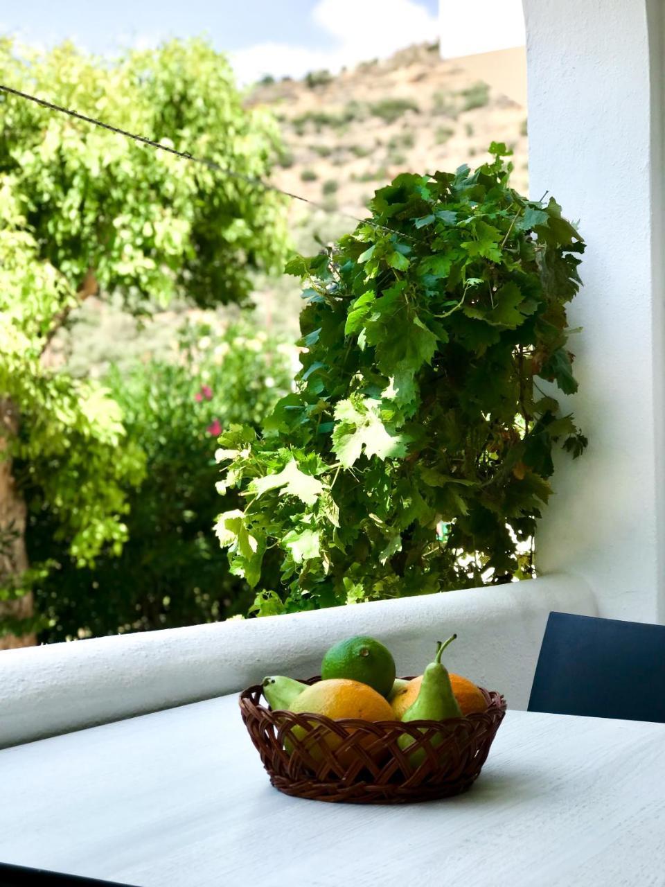 Irida Studios Hotel & Pool Plakias Extérieur photo